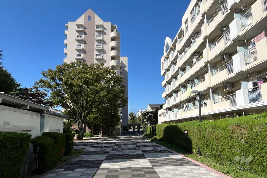 敷地の東側敷地内通路（東側から）