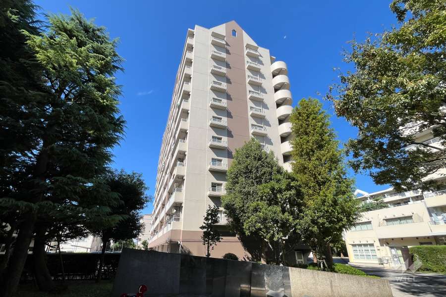 新蓮根団地14号棟の外観（東側から）