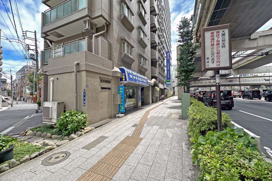 敷地の西側前面道路（北側から）