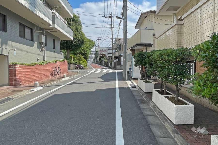 敷地の東側前面道路（北側から）