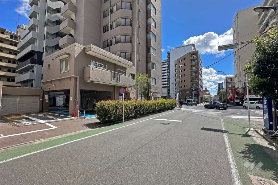 敷地の西側前面道路（北側から）