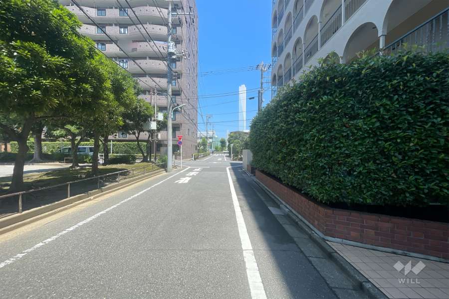 敷地の北側前面道路（西側から）