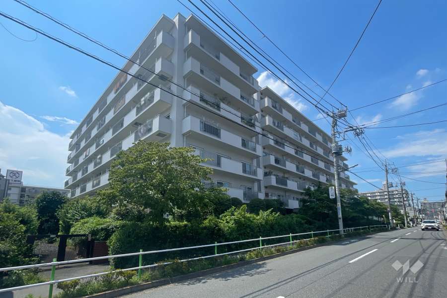 蓮根スカイマンションの外観（南東側から）
