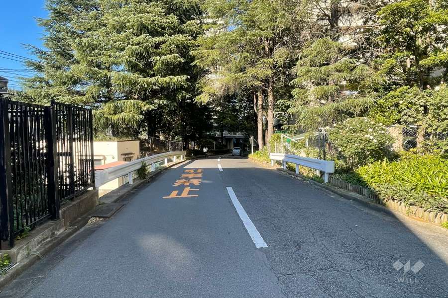 敷地西側の前面道路（南側から）