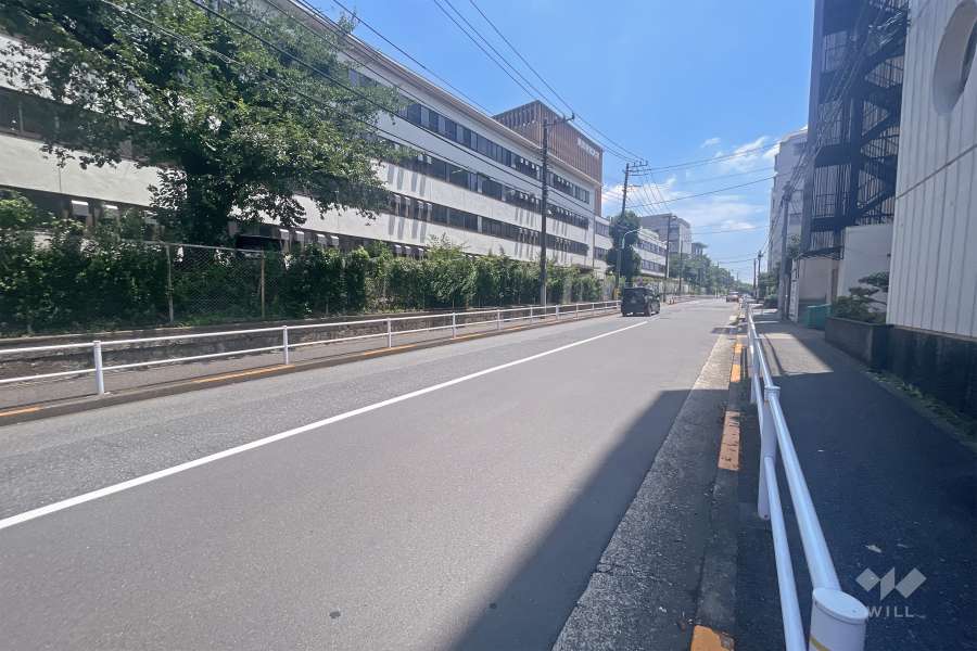 敷地北側の前面道路（西側から）