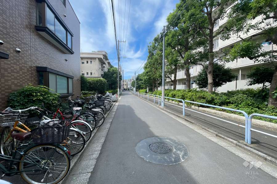 敷地西側の前面道路（北側から）