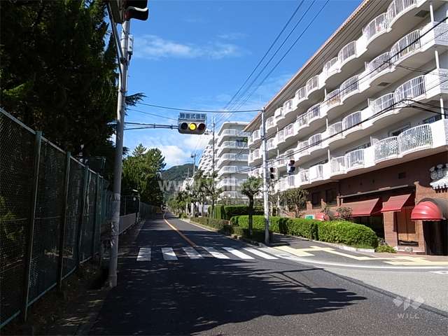 敷地南側の前面道路。二車線のバス通りです。