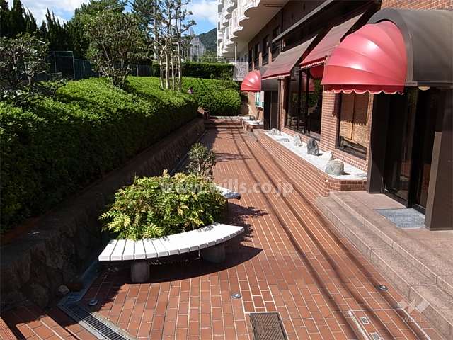 敷地南側の広場