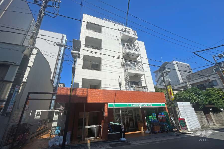 ハイネス大山の外観（南東側から）