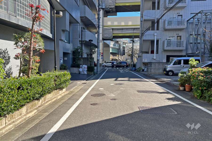 敷地南西側の前面道路（北西側から）