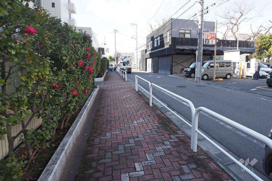敷地北側の前面道路