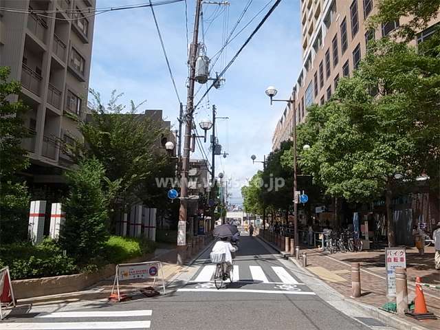 敷地北側は街路樹のきれいな通りで、店舗が建ち並び活気があります。
