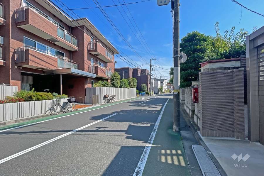 敷地の西側前面道路（北側から）