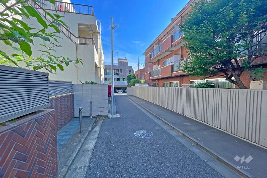 敷地の東側前面道路（北側から）