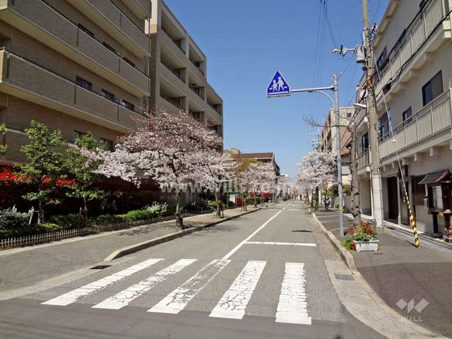 春には桜がキレイです。