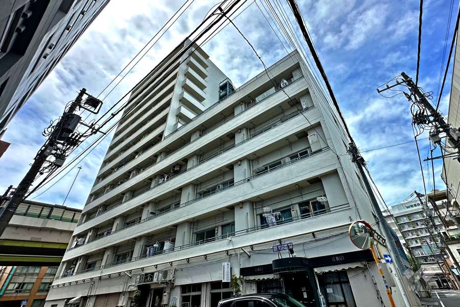 ニューハイム板橋の外観（南東側から）