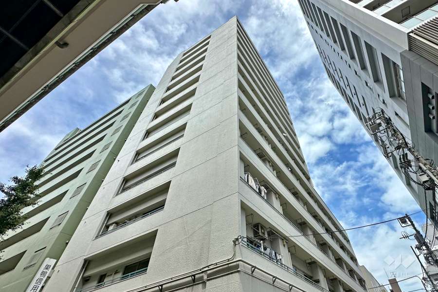 ニューハイム板橋の外観（南西側から）