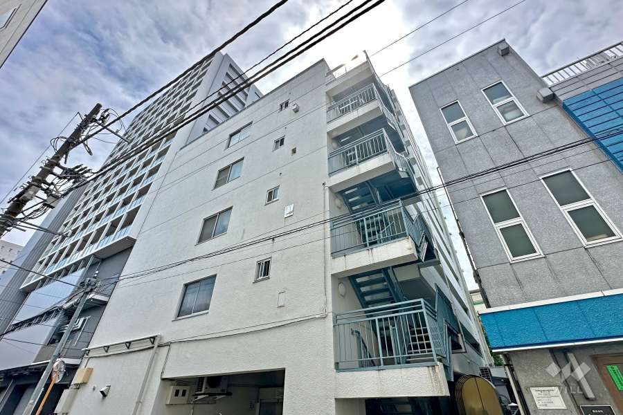 ニューハイム板橋の外観（北東側から）