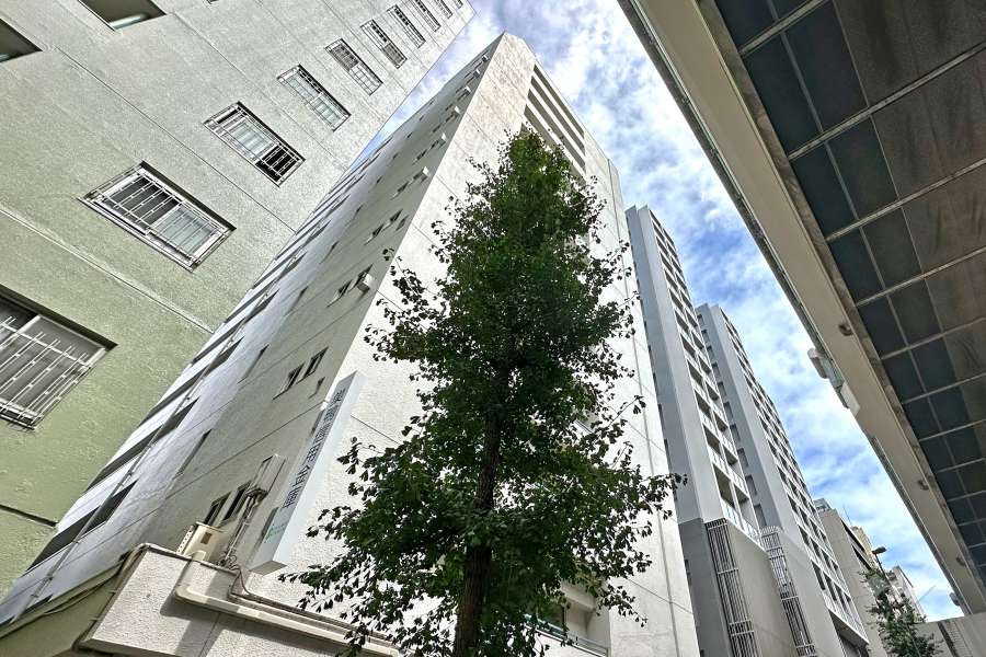 ニューハイム板橋の外観（北西側から）