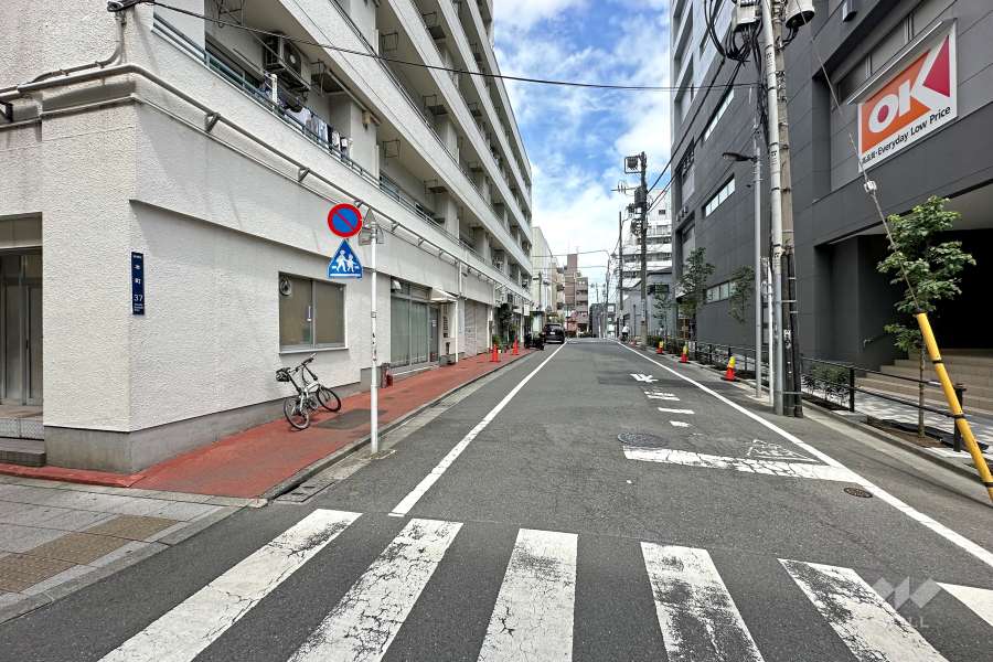 敷地の南側前面道路（西側から）