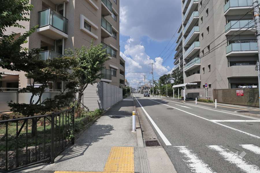 敷地東側の前面道路