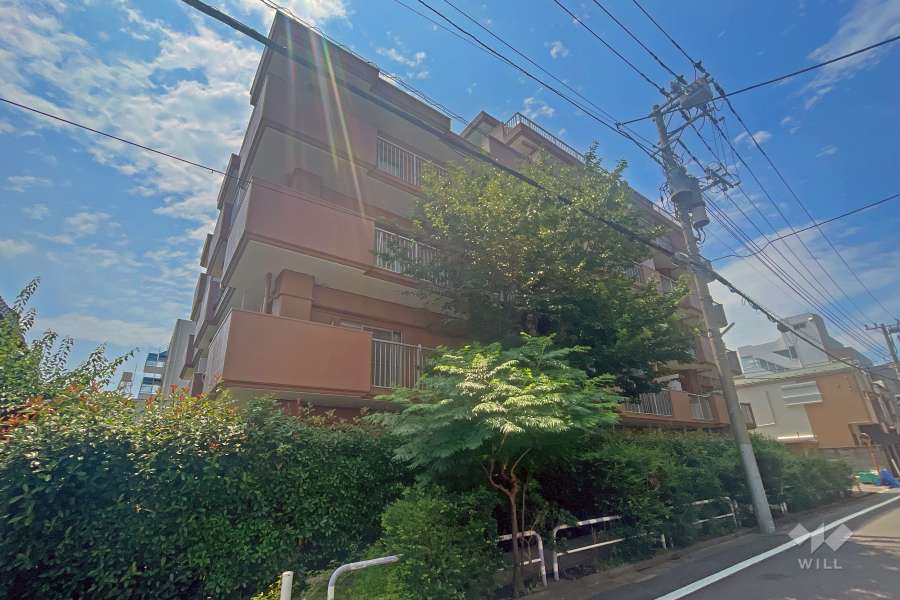 キャニオンマンションあずさわの外観（南東側から）