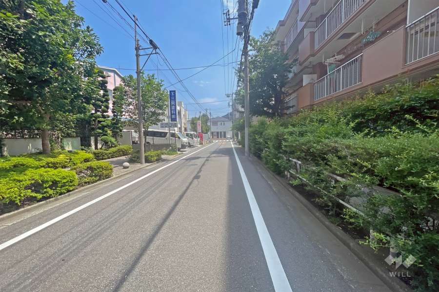 敷地の東側前面道路（北側から）