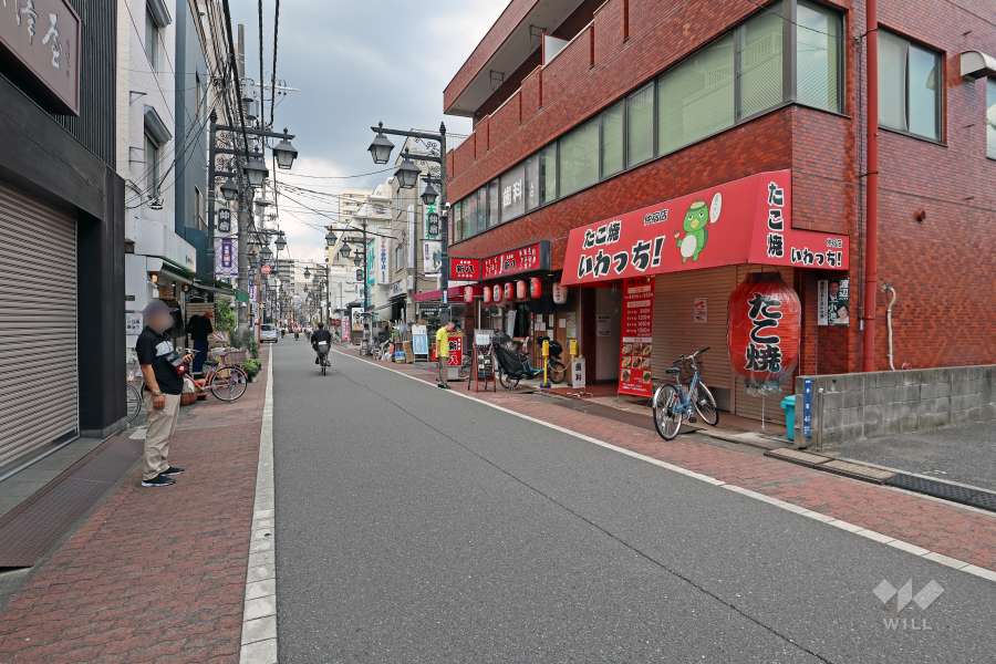 敷地の西側前面道路（南側から）