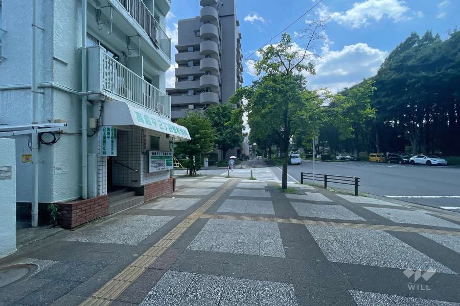 敷地の西側前面道路（北側から）