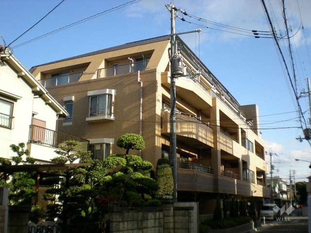 外観（南西側より撮影）