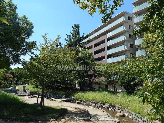 敷地の東側は蓬川緑地です。
