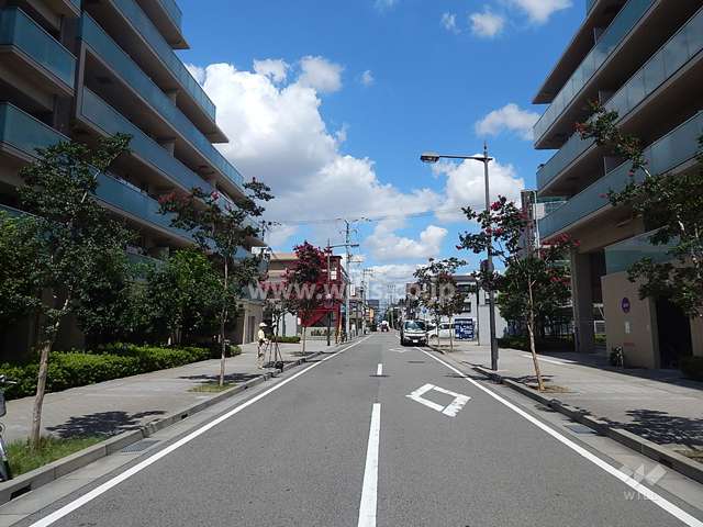 敷地東側の前面道路