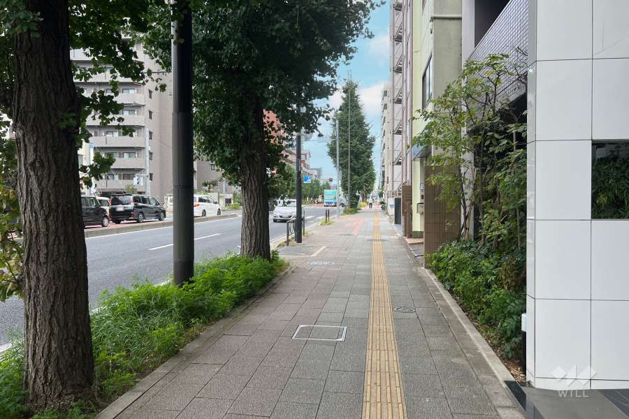 敷地の北東側前面道路（北西側から）