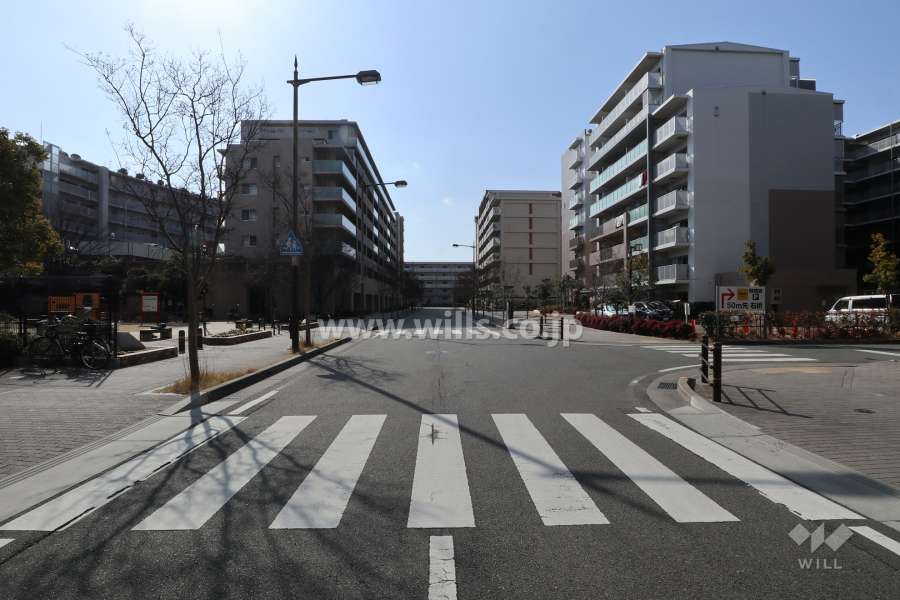 敷地西側の前面道路（北側から）
