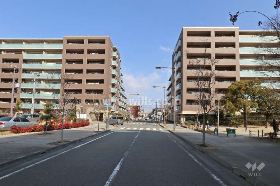 敷地西側の前面道路（南側から）