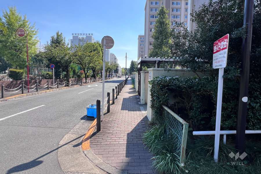 敷地の東側前面道路（北側から）