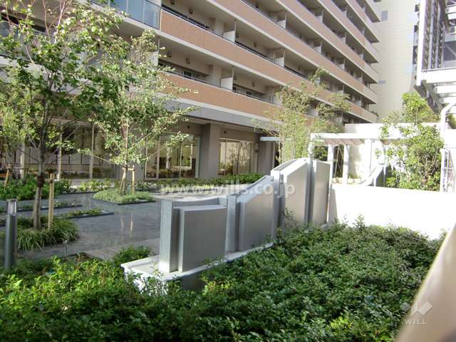 敷地内に緑豊かな中庭があります。