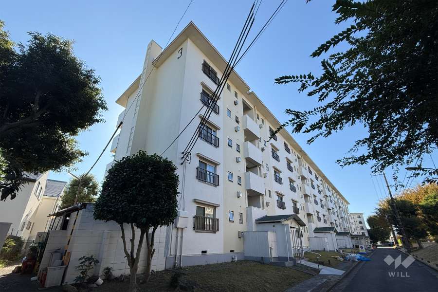 前野台住宅3号棟の外観（北東側から）　