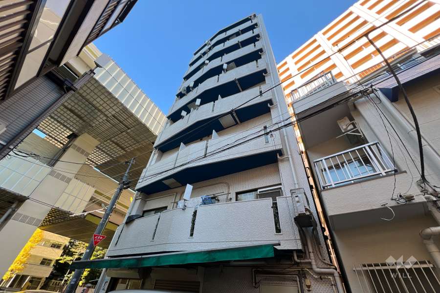 ミラベール板橋の外観（南東側から）