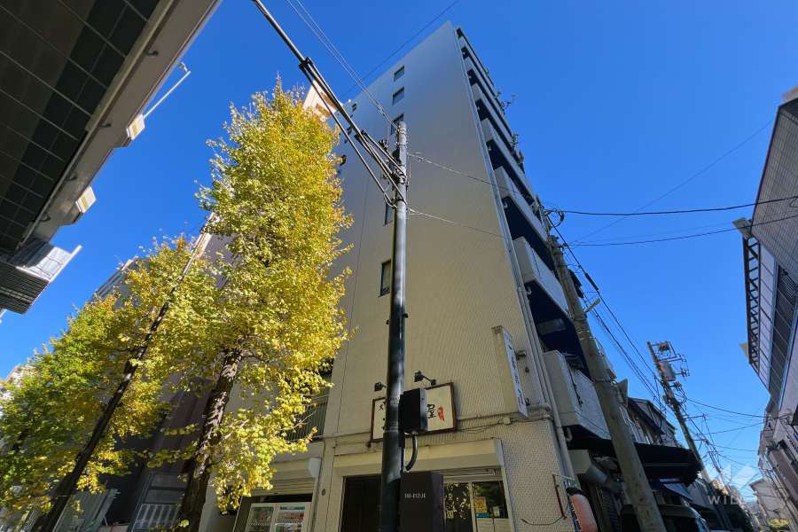 ミラベール板橋の外観（南西側から）