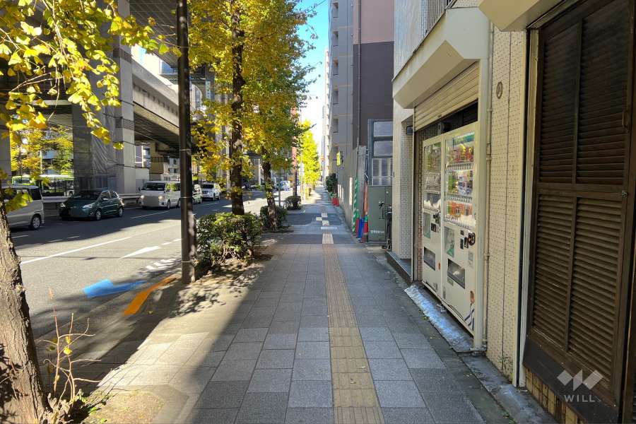 敷地の南西側前面道路（南東側から）