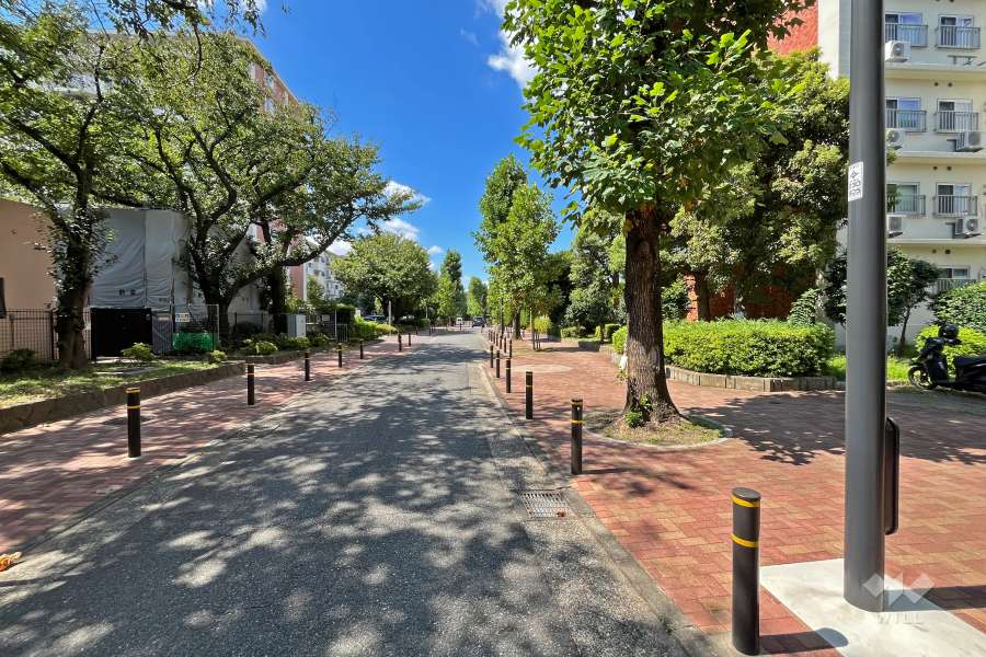 建物南側の前面道路（東側から）