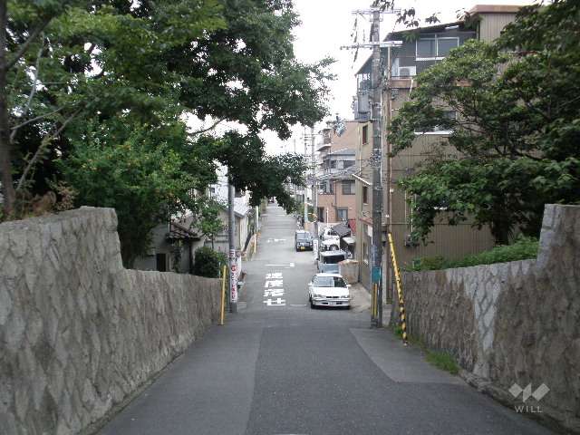 敷地の南側道路（東から）