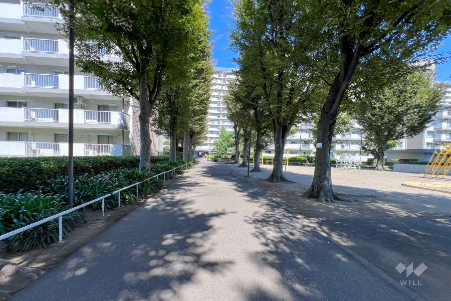 建物東側の通路　