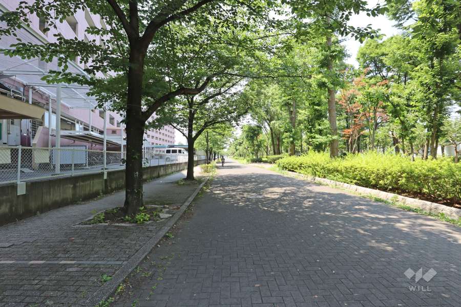 敷地北側の前面道路（東側から）