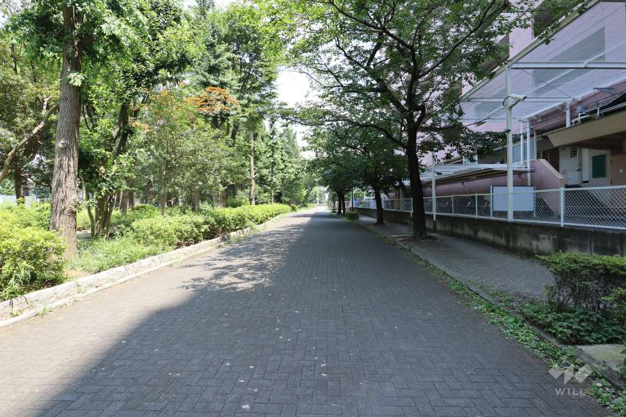 敷地北側の前面道路（西側から）