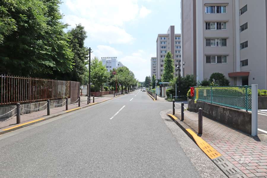 敷地東側の前面道路（北側から）