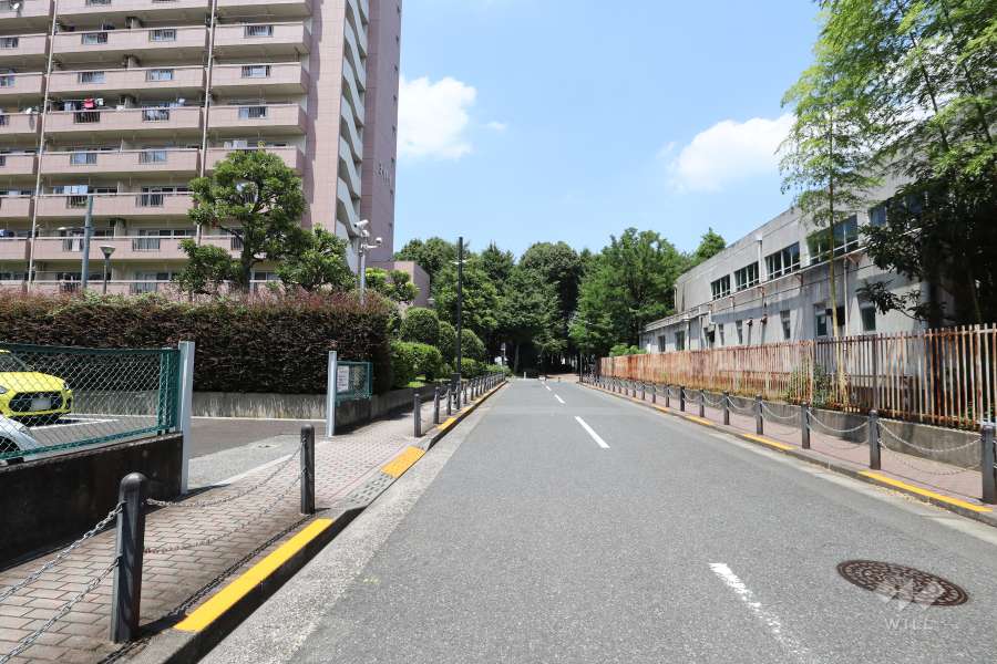 敷地東側の前面道路（南側から）