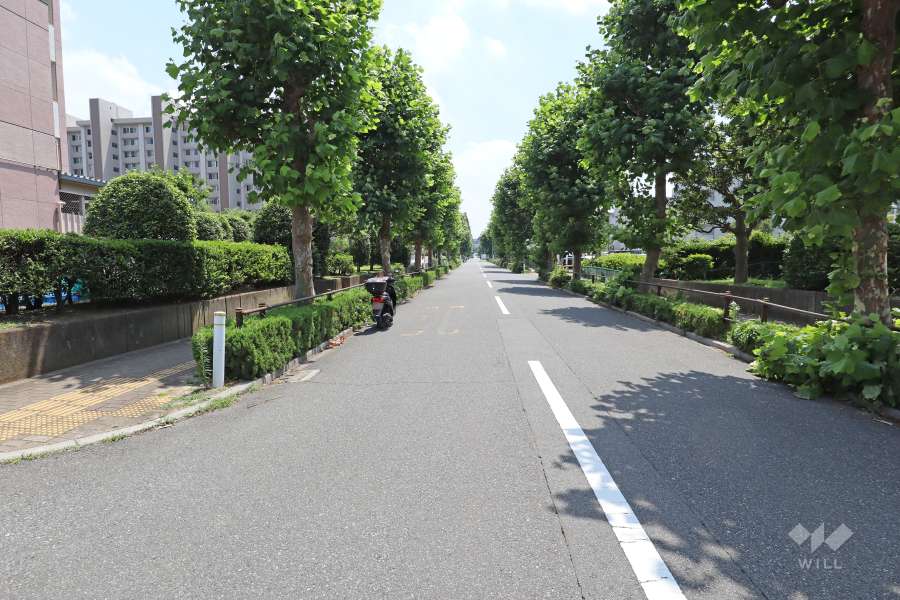 敷地西側の前面道路（北側から）