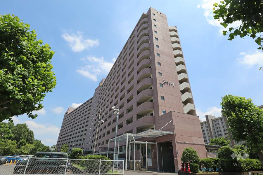 高島平団地11-1号棟の外観（北西側から）